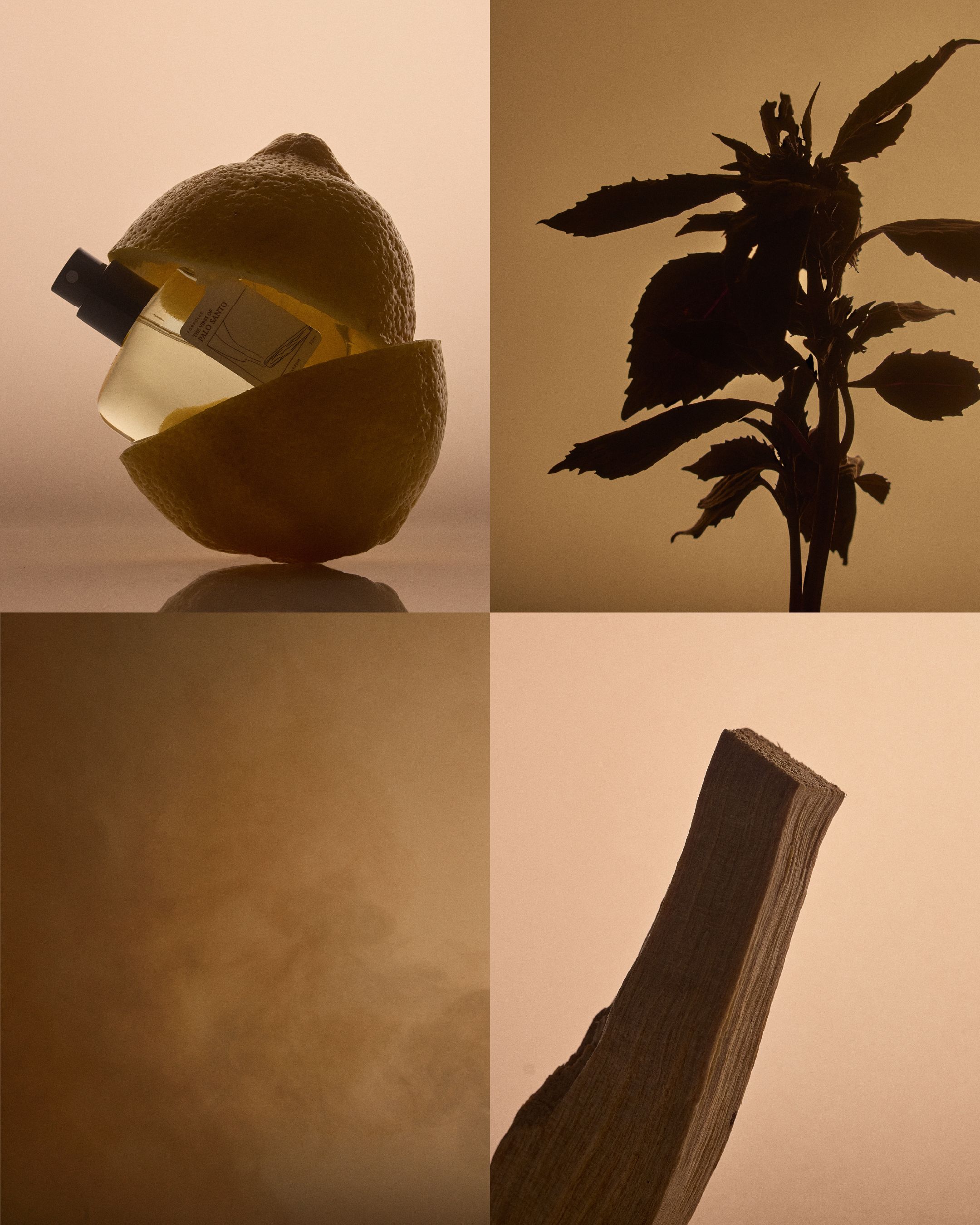 Palo Santo